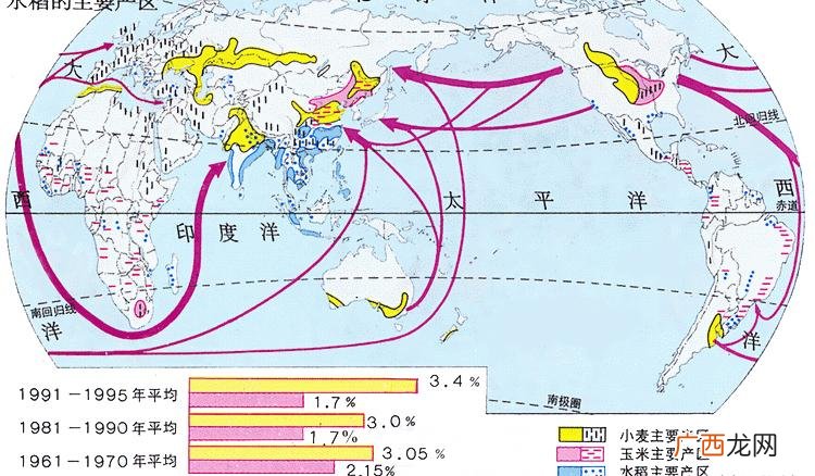 玉米哪一年进入中国 玉米是什么时候传入中国的