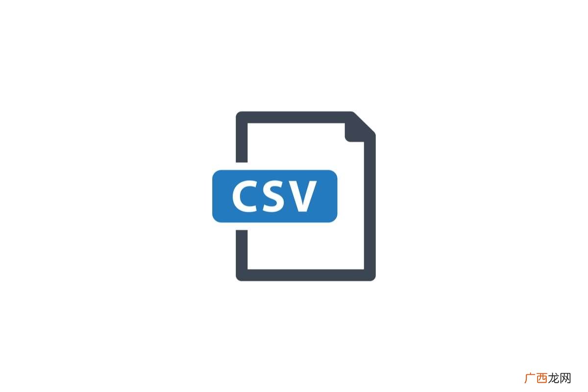 CSV 是什么意思