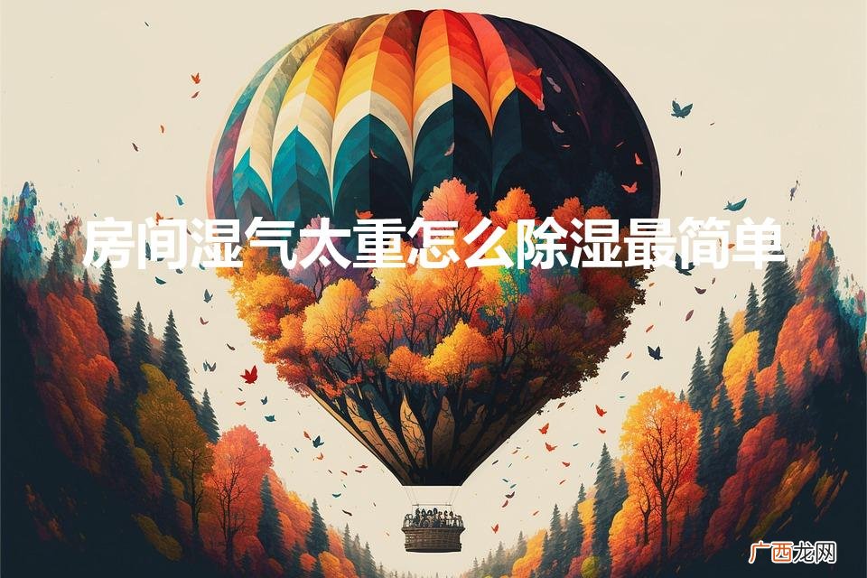 房间湿气太重怎么除湿 房间湿气太重怎么除湿最简单