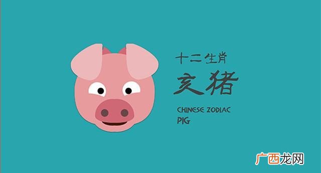 男属猪女属龙适合做夫妻 属猪和属龙的相配吗