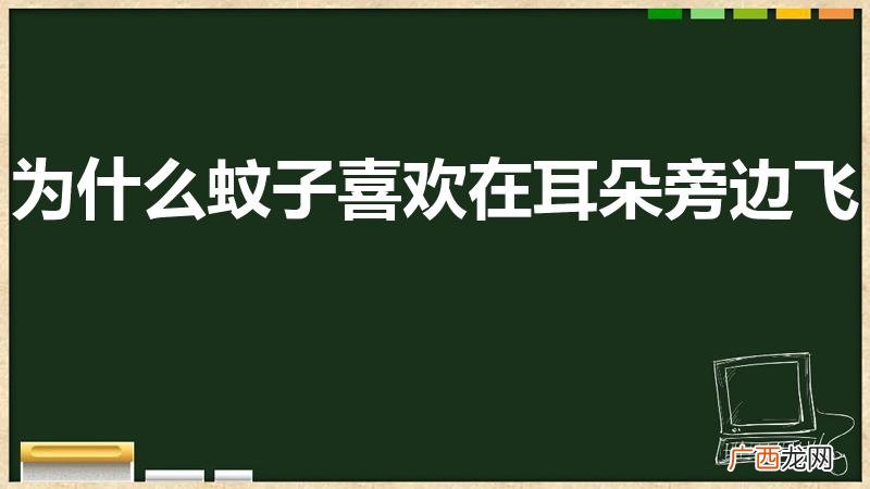 蚊子为什么总在人耳边嗡嗡叫 为什么蚊子喜欢在耳朵旁边飞
