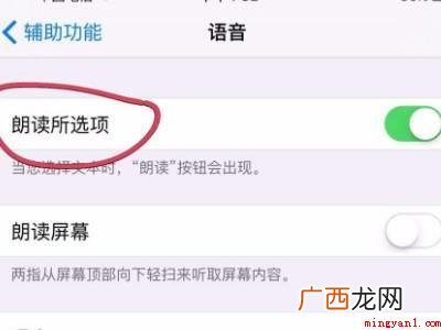 苹果朗读功能怎么开启的具体操作步骤 苹果朗读功能怎么开启
