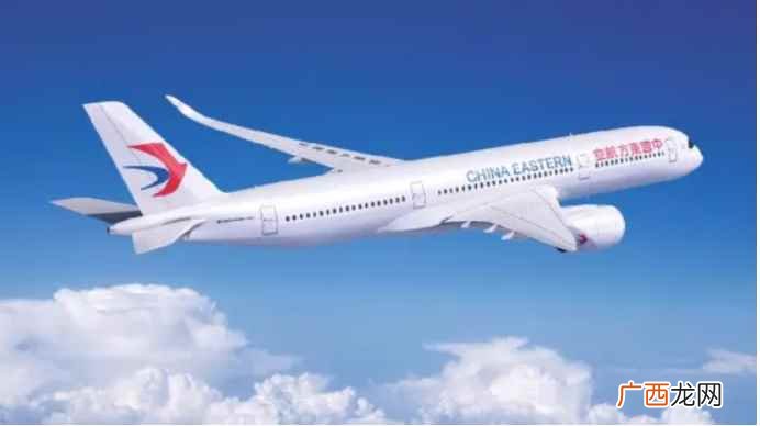 “3·21”东航MU5735航空器飞行事故国家应急处置指挥部 东航737客机属于哪个公司