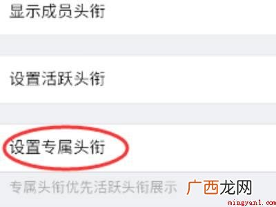 演示机型:Iphone 12 qq群头衔怎么加特效
