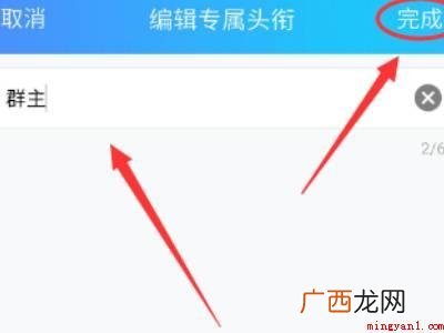 演示机型:Iphone 12 qq群头衔怎么加特效