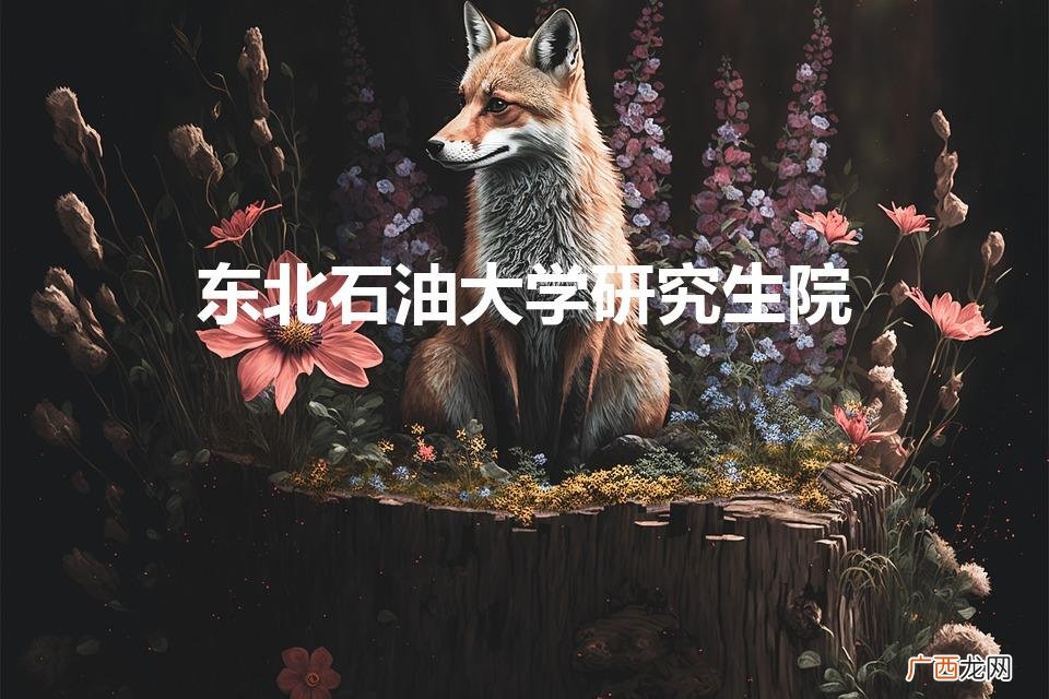 东北石油大学研究生院（东北石油大学研究生院在哪)