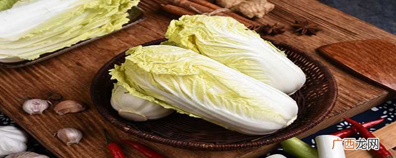 娃娃菜和大白菜有什么区别 娃娃菜和大白菜的区别