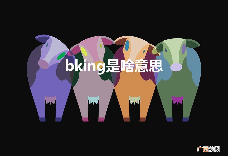 网络用语bking在饭圈什么意思 bking是啥意思