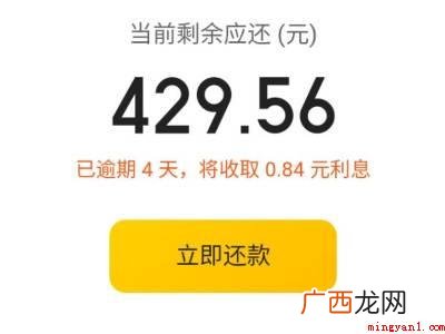 演示机型:Iphone 12 为什么不能关闭美团月付