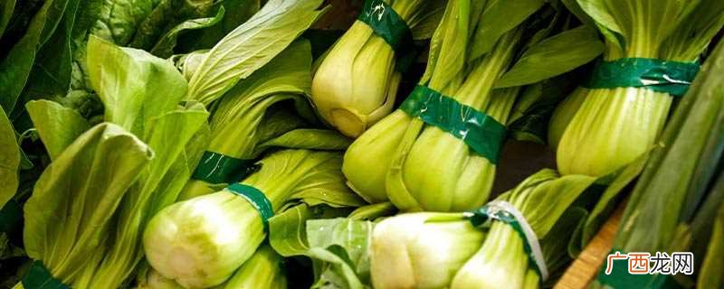 广东头菜腌制方法 广东头菜叫什么