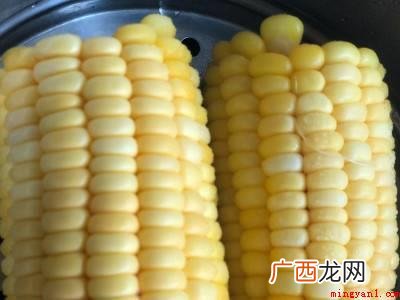 蒸玉米多久可以蒸熟的具体操作步骤 蒸玉米多久可以蒸熟