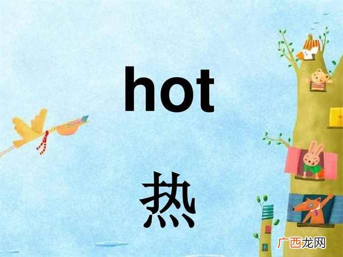 hot是什么意思翻译 hot是什么意思