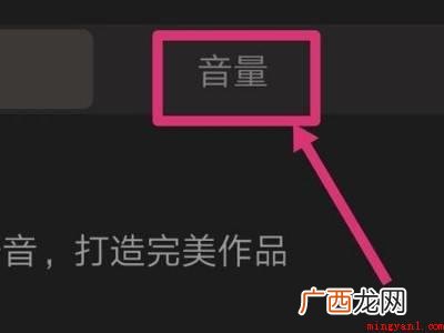演示机型:Iphone 12 全民k歌声音小怎么调