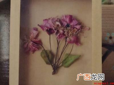 如何制作标本的具体操作步骤 如何制作标本