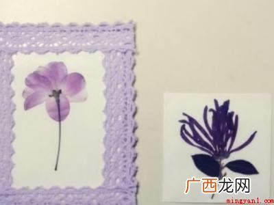如何制作标本的具体操作步骤 如何制作标本