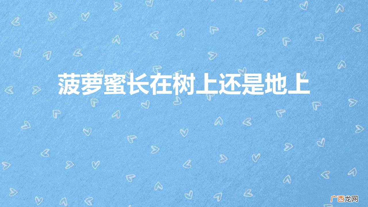 吃完菠萝蜜千万别碰5种食物 菠萝蜜长在树上还是地上