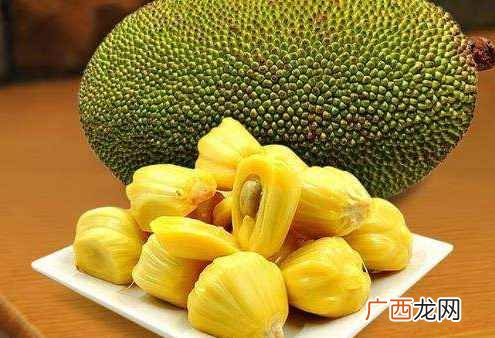 菠萝蜜相克的食物 菠萝蜜不能与什么同吃