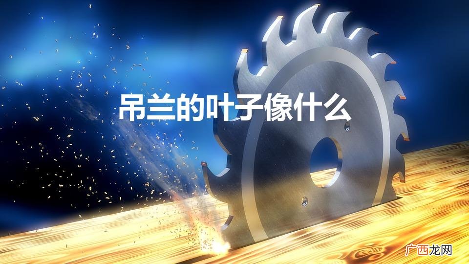 吊兰的叶子像什么（吊兰有哪些品种)