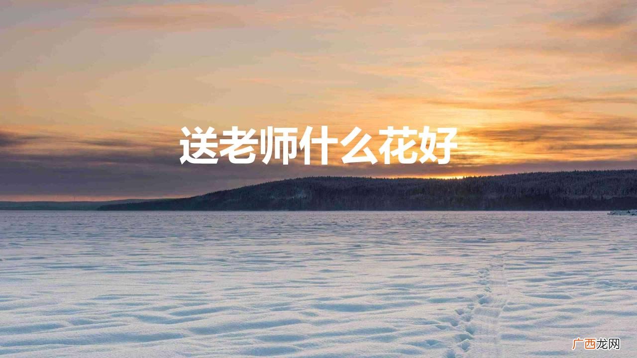 适合送给老师的6种惊喜花朵 送老师什么花好