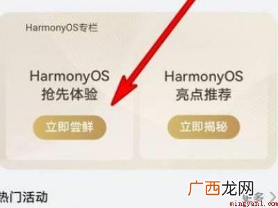 华为荣耀30怎么升级鸿蒙系统的具体操作步骤 华为荣耀30怎么升级鸿蒙系统