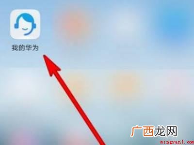 华为荣耀30怎么升级鸿蒙系统的具体操作步骤 华为荣耀30怎么升级鸿蒙系统