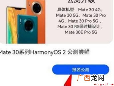 华为荣耀30怎么升级鸿蒙系统的具体操作步骤 华为荣耀30怎么升级鸿蒙系统