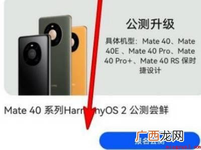 华为荣耀30怎么升级鸿蒙系统的具体操作步骤 华为荣耀30怎么升级鸿蒙系统