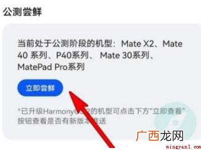 华为荣耀30怎么升级鸿蒙系统的具体操作步骤 华为荣耀30怎么升级鸿蒙系统