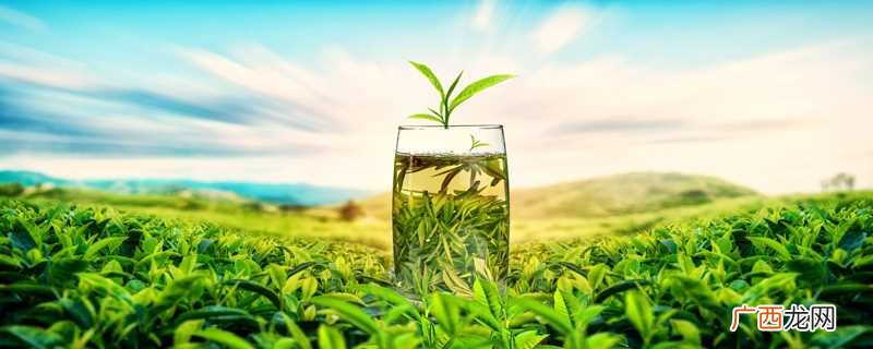 碎银子属于什么茶红茶还是绿茶 碎银子是红茶还是绿茶