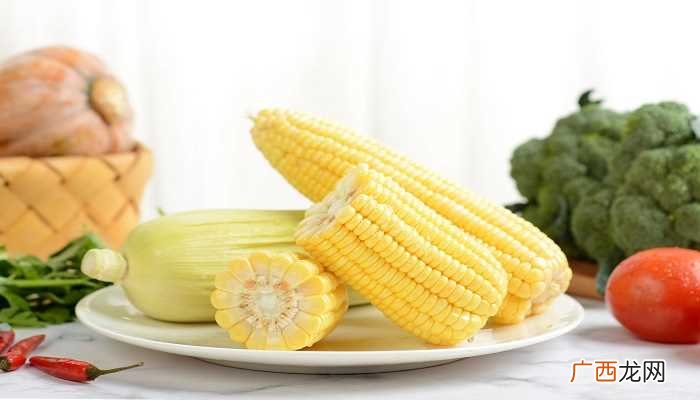 玉米的营养成分比较全面 玉米是主食吗