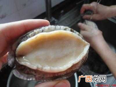 鲍鱼汤放入什么材料煲的具体操作步骤 鲍鱼汤放入什么材料煲