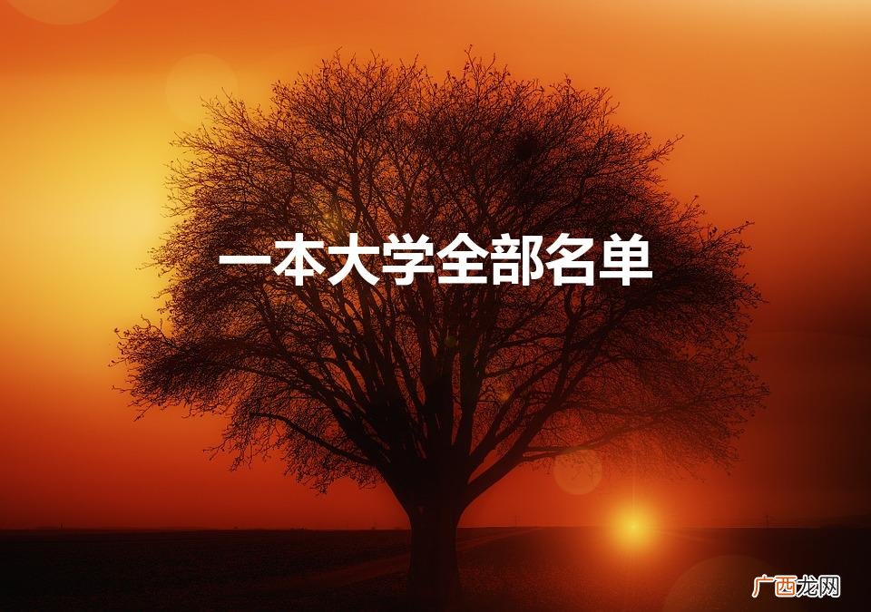 一类本科大学有哪些 一本大学全部名单