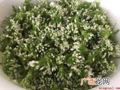 制作韭菜花的方法和配料的具体操作步骤 制作韭菜花的方法和配料
