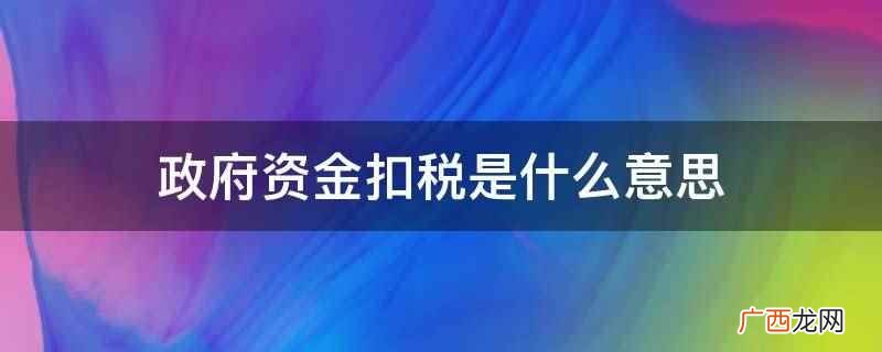 政府资金扣税是什么意思
