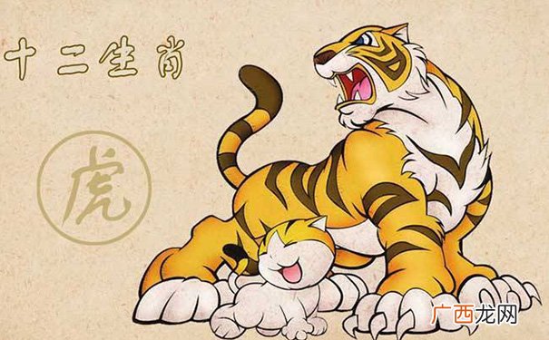 以后命运运势详解 86年属虎未来5年运势走向