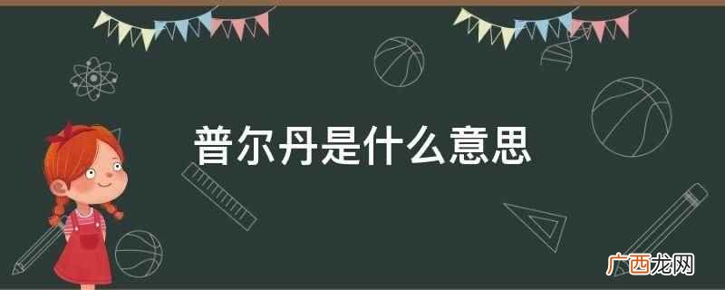 普尔丹 普尔丹是什么意思