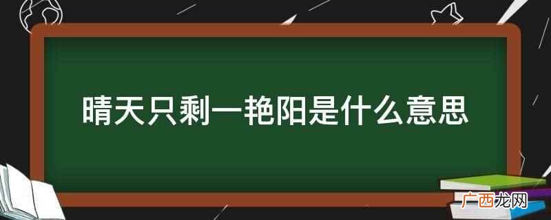 晴天只剩一艳阳 晴天只剩一艳阳打一生肖