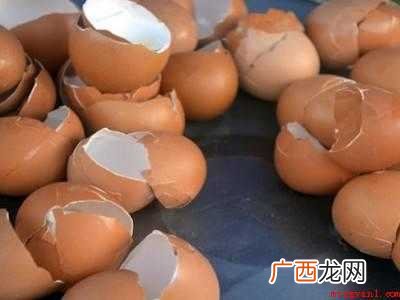 壁虎如何驱赶的具体操作步骤 壁虎如何驱赶