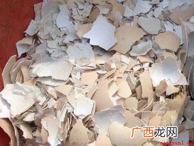壁虎如何驱赶的具体操作步骤 壁虎如何驱赶
