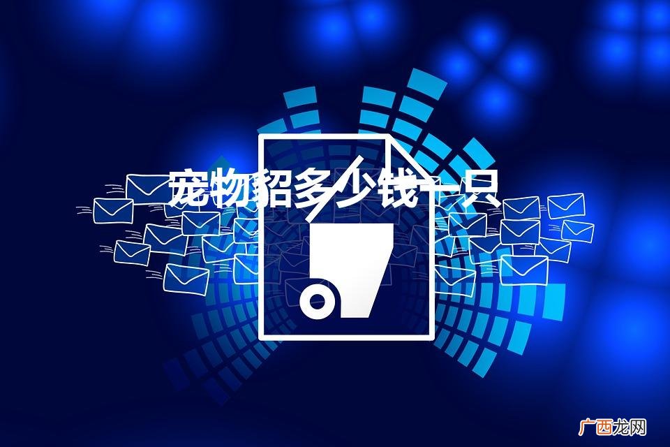 宠物貂多少钱一只（一只宠物貂多少钱一只)