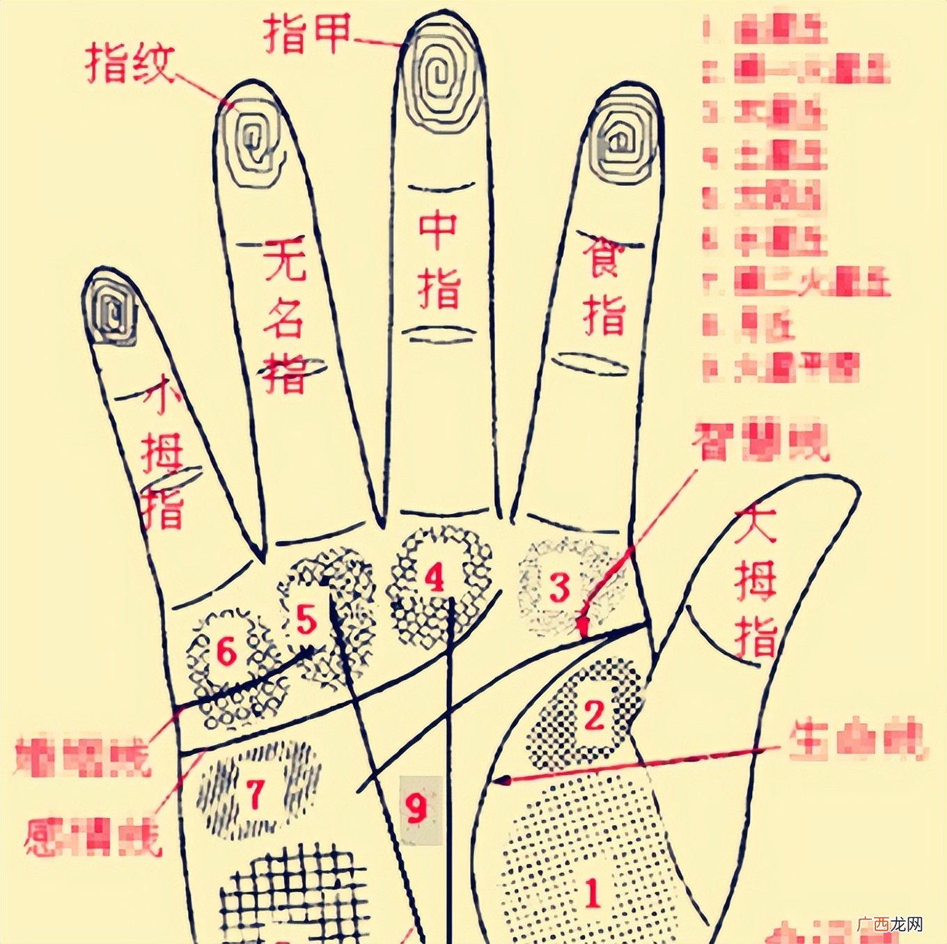 史书记载，康熙两只手有10个簸箕 历史上十个簸箕的人物
