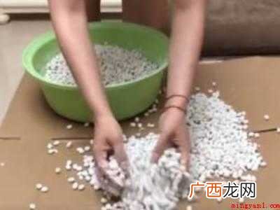 捂豆长绿毛的技巧的具体操作步骤 捂豆长绿毛的技巧