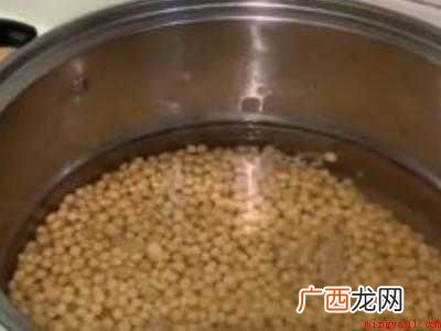 捂豆长绿毛的技巧的具体操作步骤 捂豆长绿毛的技巧