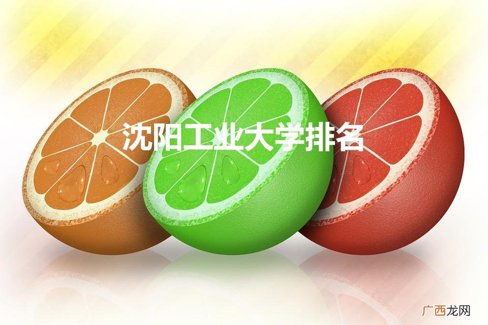 沈阳工业大学排名2022最新排名 沈阳工业大学排名