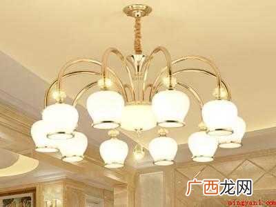 蝙蝠怎样驱赶走的具体操作步骤 蝙蝠怎样驱赶走