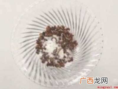 如何灭蚊子小窍门的具体操作步骤 如何灭蚊子小窍门