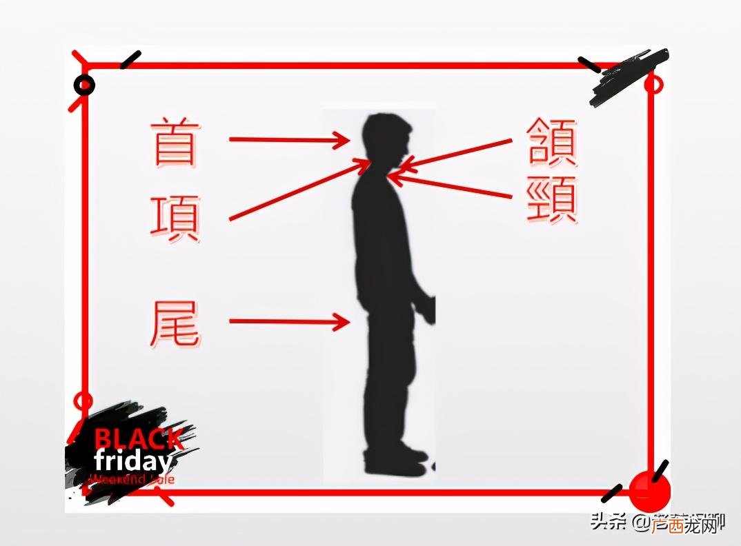 分清律诗中的“颔联”和“颈联”技巧 颔联是第几句