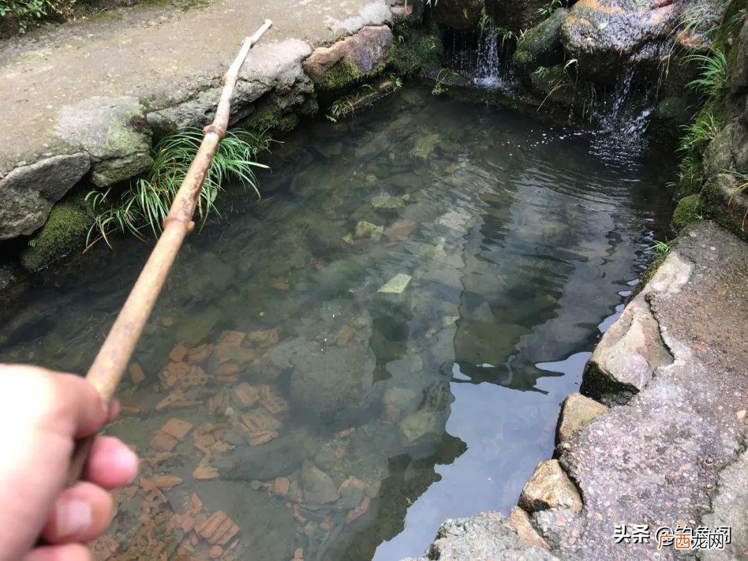 这几种情况浅水鱼更多 夏季钓鱼钓深水好还是钓浅水好