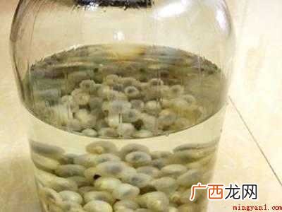 龙眼如何泡酒的具体操作步骤 龙眼如何泡酒