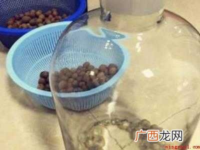 龙眼如何泡酒的具体操作步骤 龙眼如何泡酒